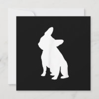 Vêtements de Tête de Chien-taureau français, Tête 