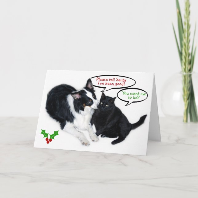 Cartes Pour Fêtes Annuelles Veuillez dire Père Noël ! (Devant)