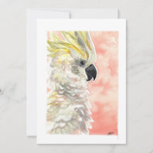 Vide - Aquarelle de Cockatoo