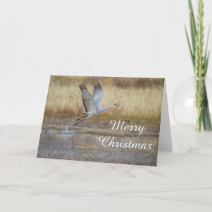 Cartes Pour Fêtes Annuelles Viens t'envoler avec moi Joyeux Noël