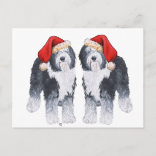 Cartes Pour Fêtes Annuelles Vieux anglais Sheepdog Santa Hat