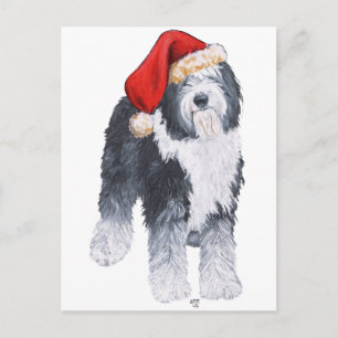 Cartes Pour Fêtes Annuelles Vieux anglais Sheepdog Santa Hat