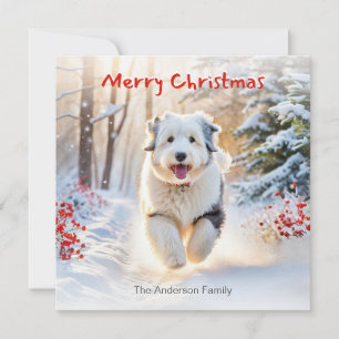 Cartes Pour Fêtes Annuelles Vieux Chien à chien de mouton anglais en neige Joy