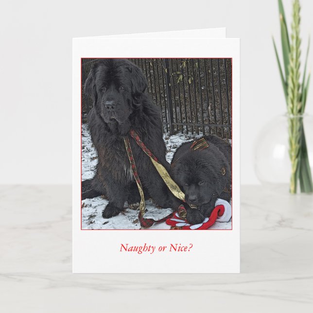 Cartes Pour Fêtes Annuelles Vilain ou Nice ? (Devant)