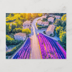 Cartes Pour Fêtes Annuelles Village avec champs de lavande et routes sinueuses