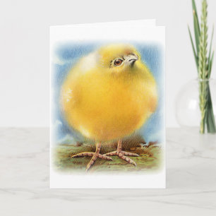 Cartes Pour Fêtes Annuelles Vintage Animaux Mignons de Pâques