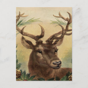 Cartes Pour Fêtes Annuelles Vintage Deer Buck Stag Nature Noël rustique