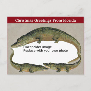 Cartes Pour Fêtes Annuelles Vintage Floride cadre d'alligator de Noël