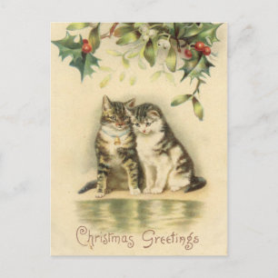 Cartes Pour Fêtes Annuelles Vintage Noël Salutations Kitty Cats
