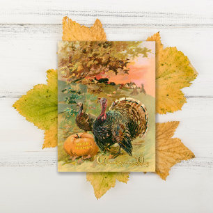 Cartes Pour Fêtes Annuelles Vintage Thanksgiving Turkeys et Citrouille