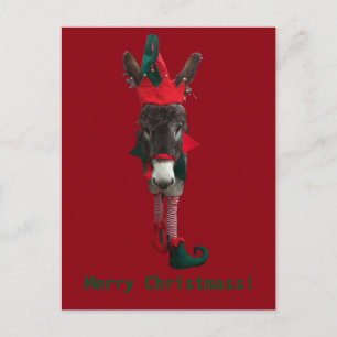 Cartes Pour Fêtes Annuelles Violet the Elf Postcard