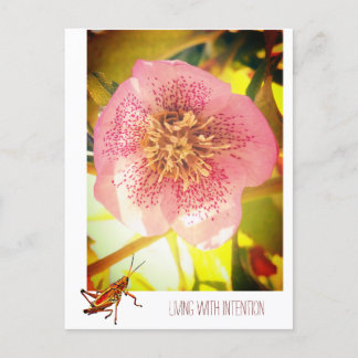 Cartes Pour Fêtes Annuelles Vivre avec intention. Helleborus (Rose de Lenten)