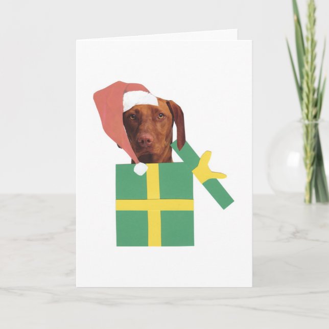 Cartes Pour Fêtes Annuelles Vizsla (Devant)