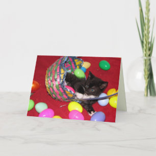 Cartes Pour Fêtes Annuelles Voeux de Pâques de Versace - Chat / Kitten