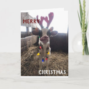 CARTES POUR FÊTES ANNUELLES VOISINS SOUHAITENT JOYER NOËL / HEUREUSE NOUVELLE 