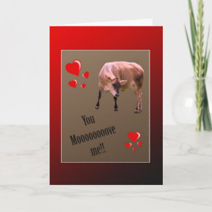 Cartes Pour Fêtes Annuelles Voix de vache Valentine Salutation
