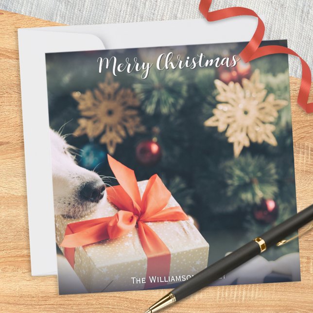 Cartes Pour Fêtes Annuelles Votre photo de chien Nom personnalisé Moderne Joye (A Christmas card for you to personalize with a photo of your dog and your own text underneath)