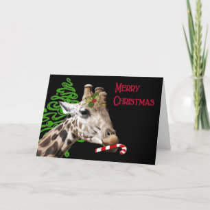 Cartes Pour Fêtes Annuelles Vous aiment un sucre de canne ?