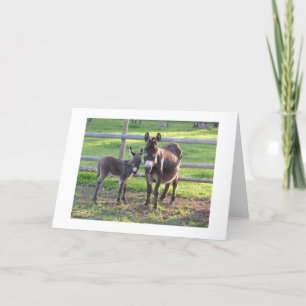 CARTES POUR FÊTES ANNUELLES VOUS DÉCIDEZ **NAUGHT** OU **NICE** POUR NOËL