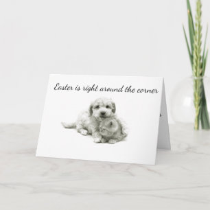 CARTES POUR FÊTES ANNUELLES VOUS ENVOYEZ UN "CHIEN ET UN CHAT" ET PAS UN CANAR