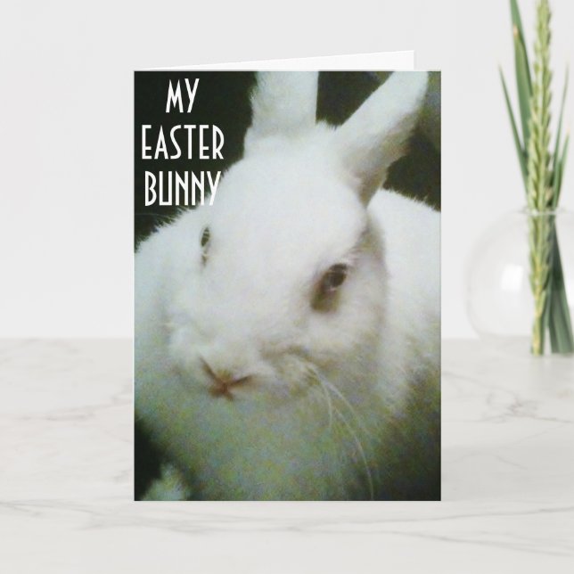 CARTES POUR FÊTES ANNUELLES VOUS ÊTES "MON" BUNNY DE PÂQUES (Devant)