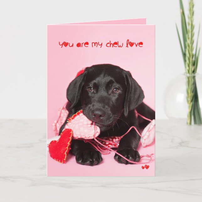 Cartes Pour Fêtes Annuelles Vous êtes mon laboratoire Valentine de noir (Devant)