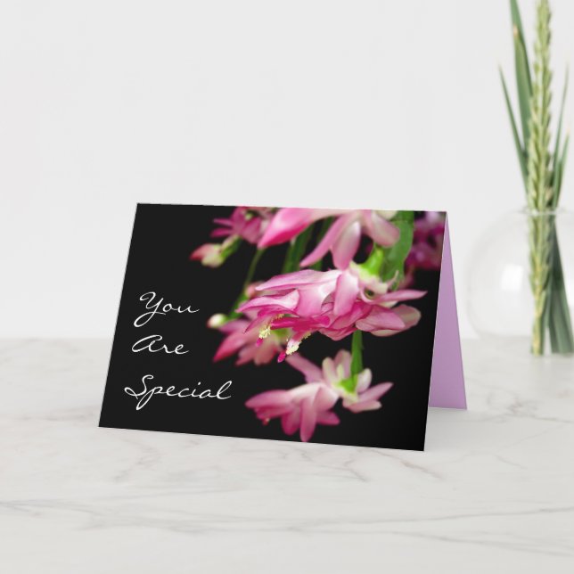 Cartes Pour Fêtes Annuelles Vous êtes spéciaux (Devant)