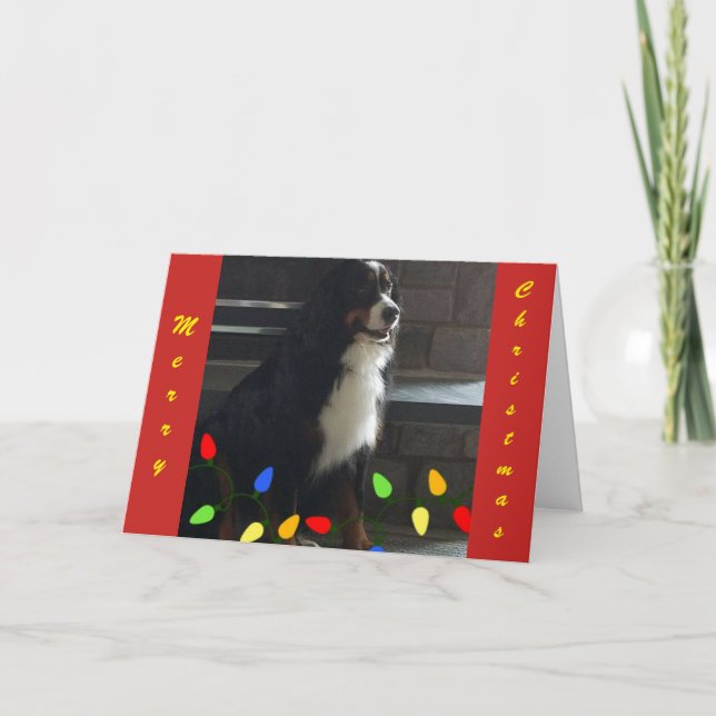 CARTES POUR FÊTES ANNUELLES **VOUS METTEZ MA VIE EN LUMIÈRE** MERCI NOËL (Devant)