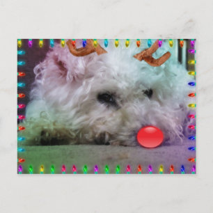 CARTES POUR FÊTES ANNUELLES VOUS SOUHAITANT JOYEUX NOËL