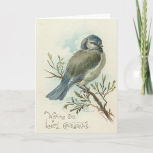 Cartes Pour Fêtes Annuelles Vous souhaitant un Joyeux Noël, oiseau bleu