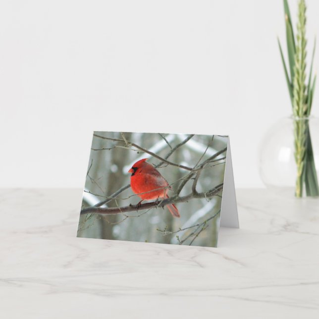 Cartes Pour Fêtes Annuelles Vue Cardinale Rouge (Homme) (Devant)