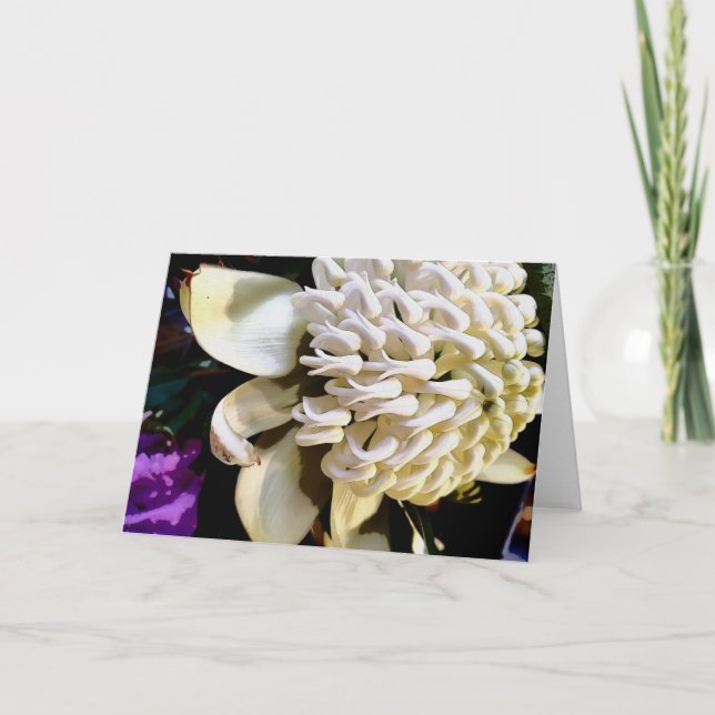 Cartes Pour Fêtes Annuelles warratah blanc (Devant)