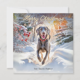 Cartes Pour Fêtes Annuelles Weimaraner Chien En Neige Joyeux Noël