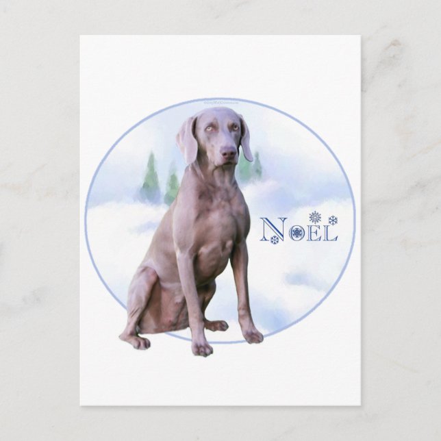 Cartes Pour Fêtes Annuelles Weimaraner Noel (Devant)