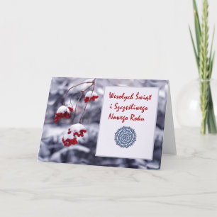 Cartes Pour Fêtes Annuelles Wesolych Swiat, Joyeux Noël dans le polonais,