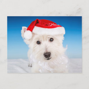 Cartes Pour Fêtes Annuelles Westie avec Santa Hat et la barbe