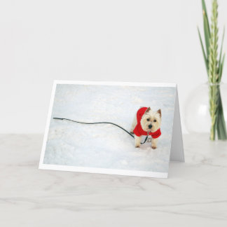 Cartes Pour Fêtes Annuelles westie dans le manteau rouge