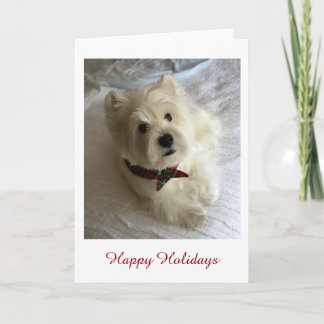 Cartes Pour Fêtes Annuelles Westie Holiday