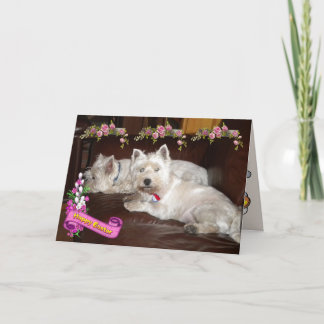 Cartes Pour Fêtes Annuelles Westie Joyeuses Pâques 2