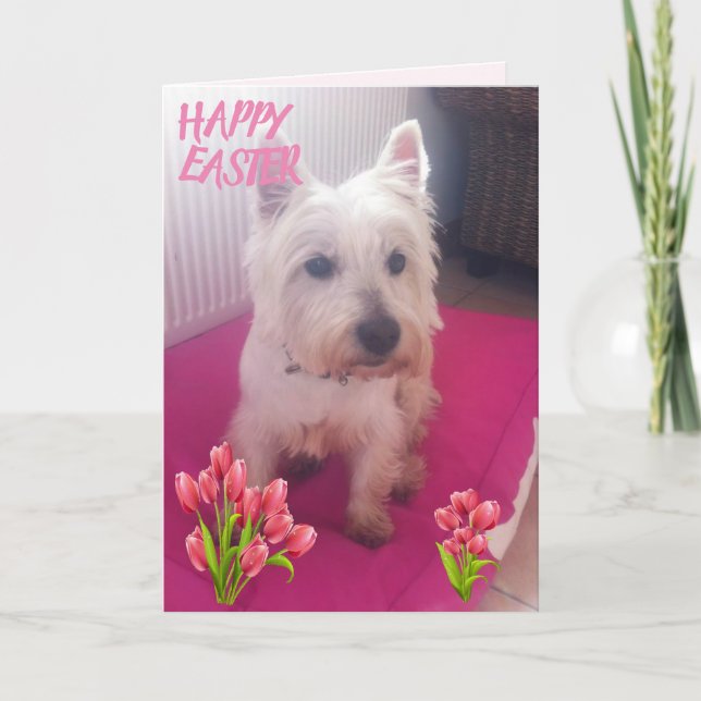 Cartes Pour Fêtes Annuelles Westie Joyeuses Pâques 3 (Devant)