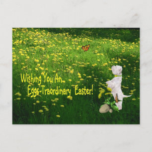 Cartes Pour Fêtes Annuelles Westie vous souhaitant des oeufs - Traordinary
