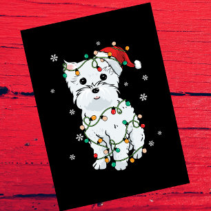 Cartes Pour Fêtes Annuelles Westin Feux d'arbre de Noël sur le noir