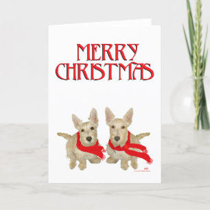 Cartes Pour Fêtes Annuelles Wheaten Scottish Terrier Noël