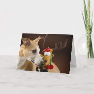 Cartes Pour Fêtes Annuelles Whippet à Noël