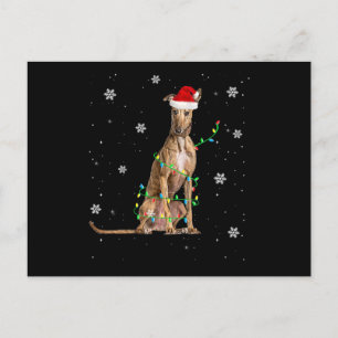 Cartes Pour Fêtes Annuelles Whippet Christmas Light mignet Père Noël Whippet X