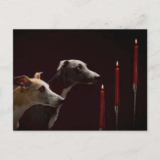 Cartes Pour Fêtes Annuelles Whippets at Christmas