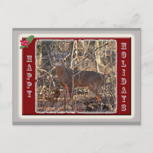 Cartes Pour Fêtes Annuelles Whitetail Deer Happy Holidays Items
