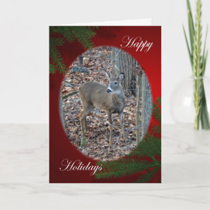 Cartes Pour Fêtes Annuelles Whitetail Deer Spike Buck Happy Holidays Series