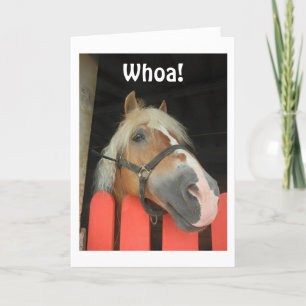 CARTES POUR FÊTES ANNUELLES 'WHOA DIT LE CHEVAL' JOYEZ NOËL À "VOUS"