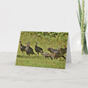 Cartes Pour Fêtes Annuelles Wild Turkey